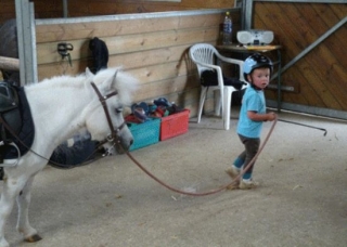  Niño y pequeño pony 